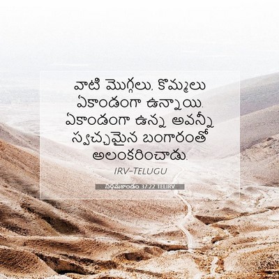 Picture 07 - నిర్గమకాండం 37:22 TELIRV - వాటి మొగ్గలు, - Bible Verse Picture