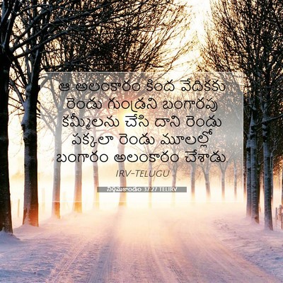Picture 07 - నిర్గమకాండం 37:27 TELIRV - ఆ అలంకారం కింద - Bible Verse Picture