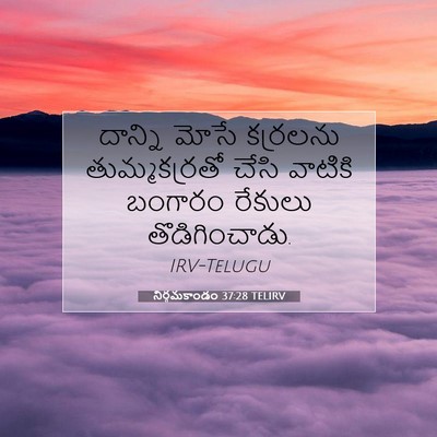Picture 07 - నిర్గమకాండం 37:28 TELIRV - దాన్ని మోసే - Bible Verse Picture