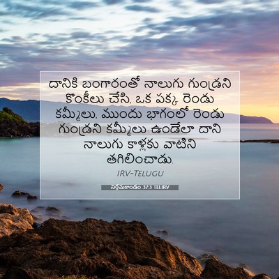 Picture 07 - నిర్గమకాండం 37:3 TELIRV - దానికి బంగారంతో - Bible Verse Picture