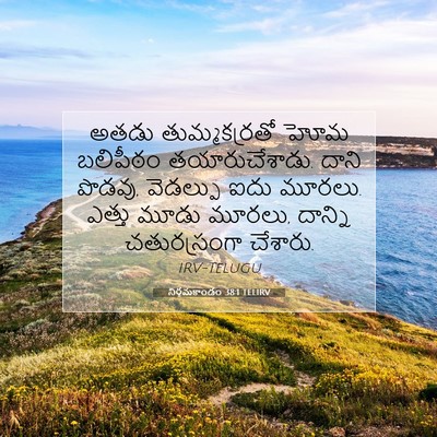 Picture 07 - నిర్గమకాండం 38:1 TELIRV - అతడు తుమ్మకర్రతో - Bible Verse Picture