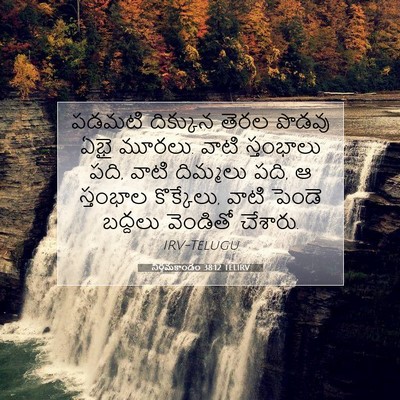 Picture 07 - నిర్గమకాండం 38:12 TELIRV - పడమటి దిక్కున - Bible Verse Picture