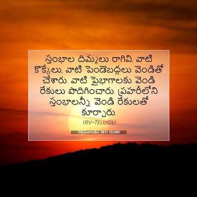 Picture 07 - నిర్గమకాండం 38:17 TELIRV - స్తంభాల దిమ్మలు - Bible Verse Picture