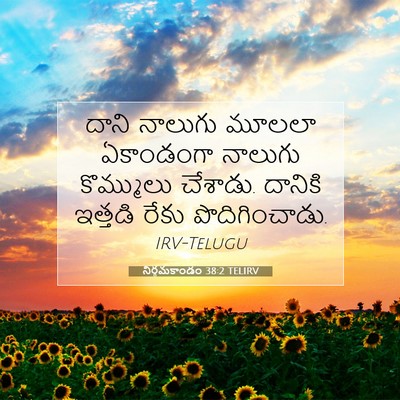 Picture 07 - నిర్గమకాండం 38:2 TELIRV - దాని నాలుగు మూలలా - Bible Verse Picture