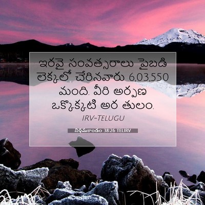 Picture 07 - నిర్గమకాండం 38:26 TELIRV - ఇరవై సంవత్సరాలు - Bible Verse Picture