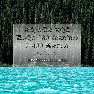 Picture 07 - నిర్గమకాండం 38:29 TELIRV - అర్పించిన ఇత్తడి - Bible Verse Picture