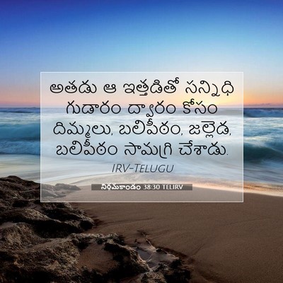 Picture 07 - నిర్గమకాండం 38:30 TELIRV - అతడు ఆ ఇత్తడితో - Bible Verse Picture