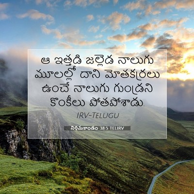 Picture 07 - నిర్గమకాండం 38:5 TELIRV - ఆ ఇత్తడి జల్లెడ - Bible Verse Picture