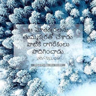 Picture 07 - నిర్గమకాండం 38:6 TELIRV - ఆ మోతకర్రలను - Bible Verse Picture