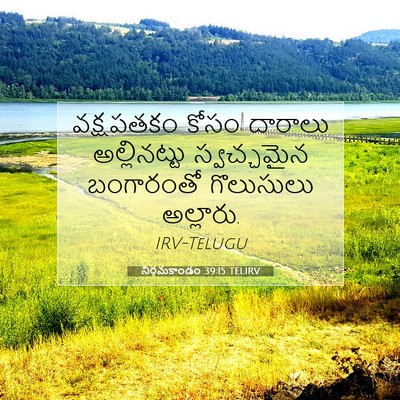 Picture 07 - నిర్గమకాండం 39:15 TELIRV - వక్షపతకం కోసం - Bible Verse Picture