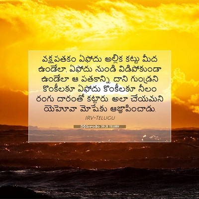 Picture 07 - నిర్గమకాండం 39:21 TELIRV - వక్షపతకం ఏఫోదు - Bible Verse Picture
