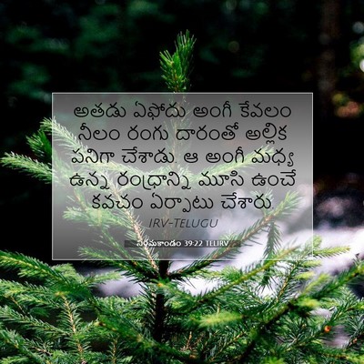 Picture 07 - నిర్గమకాండం 39:22 TELIRV - అతడు ఏఫోదు అంగీ - Bible Verse Picture