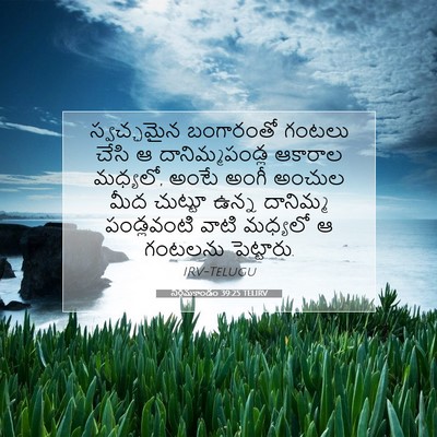 Picture 07 - నిర్గమకాండం 39:25 TELIRV - స్వచ్ఛమైన - Bible Verse Picture