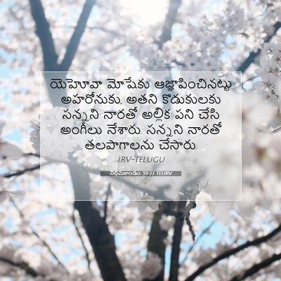 Picture 07 - నిర్గమకాండం 39:27 TELIRV - యెహోవా మోషేకు - Bible Verse Picture