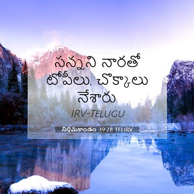 Picture 07 - నిర్గమకాండం 39:28 TELIRV - సన్నని నారతో - Bible Verse Picture