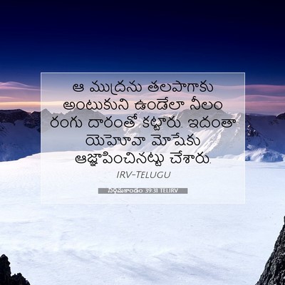 Picture 07 - నిర్గమకాండం 39:31 TELIRV - ఆ ముద్రను - Bible Verse Picture