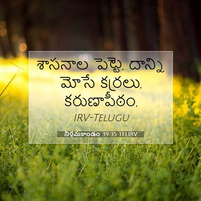 Picture 07 - నిర్గమకాండం 39:35 TELIRV - శాసనాల పెట్టె, - Bible Verse Picture