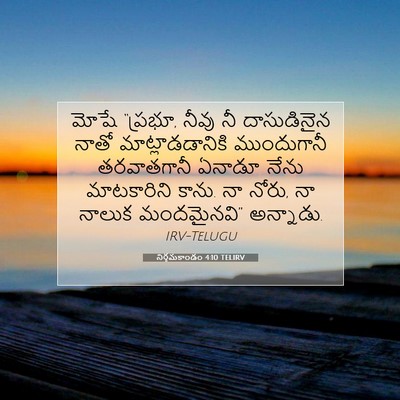 Picture 07 - నిర్గమకాండం 4:10 TELIRV - మోషే “ప్రభూ, నీవు - Bible Verse Picture