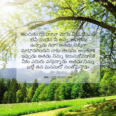 Picture 07 - నిర్గమకాండం 4:14 TELIRV - అందుకు యెహోవా - Bible Verse Picture