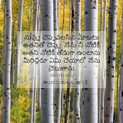 Picture 07 - నిర్గమకాండం 4:15 TELIRV - నువ్వు చెప్పవలసిన - Bible Verse Picture