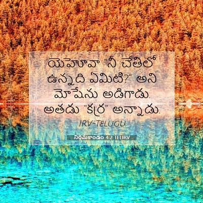 Picture 07 - నిర్గమకాండం 4:2 TELIRV - యెహోవా “నీ చేతిలో - Bible Verse Picture