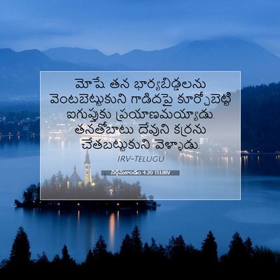 Picture 07 - నిర్గమకాండం 4:20 TELIRV - మోషే తన - Bible Verse Picture