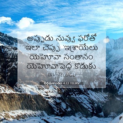 Picture 07 - నిర్గమకాండం 4:22 TELIRV - అప్పుడు నువ్వు - Bible Verse Picture