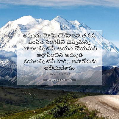 Picture 07 - నిర్గమకాండం 4:28 TELIRV - అప్పుడు మోషే - Bible Verse Picture