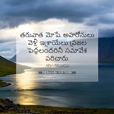 Picture 07 - నిర్గమకాండం 4:29 TELIRV - తరువాత మోషే - Bible Verse Picture
