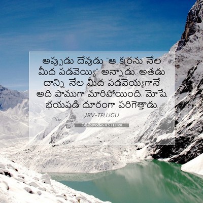 Picture 07 - నిర్గమకాండం 4:3 TELIRV - అప్పుడు దేవుడు “ఆ - Bible Verse Picture