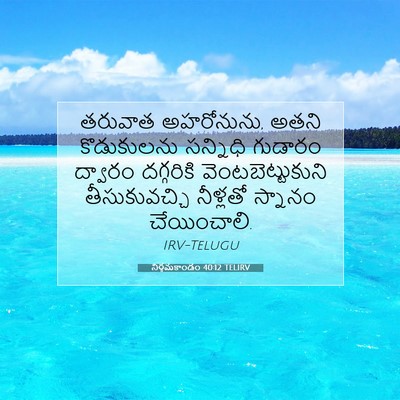 Picture 07 - నిర్గమకాండం 40:12 TELIRV - తరువాత అహరోనును, - Bible Verse Picture