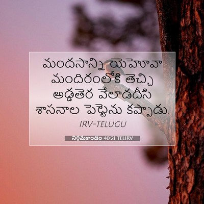 Picture 07 - నిర్గమకాండం 40:21 TELIRV - మందసాన్ని యెహోవా - Bible Verse Picture