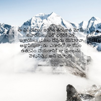 Picture 07 - నిర్గమకాండం 5:1 TELIRV - ఈ విషయాలు జరిగిన - Bible Verse Picture