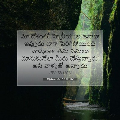 Picture 07 - నిర్గమకాండం 5:5 TELIRV - మా దేశంలో - Bible Verse Picture