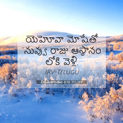 Picture 07 - నిర్గమకాండం 6:10 TELIRV - యెహోవా మోషేతో - Bible Verse Picture