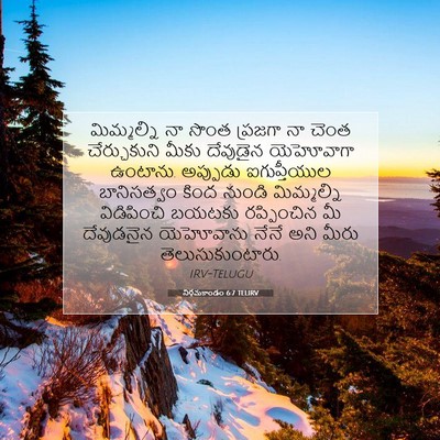 Picture 07 - నిర్గమకాండం 6:7 TELIRV - మిమ్మల్ని నా సొంత - Bible Verse Picture