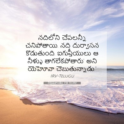 Picture 07 - నిర్గమకాండం 7:18 TELIRV - నదిలోని చేపలన్నీ - Bible Verse Picture