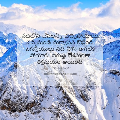 Picture 07 - నిర్గమకాండం 7:21 TELIRV - నదిలోని చేపలన్నీ - Bible Verse Picture