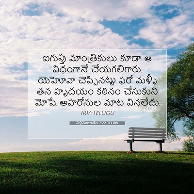 Picture 07 - నిర్గమకాండం 7:22 TELIRV - ఐగుప్తు - Bible Verse Picture