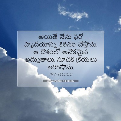Picture 07 - నిర్గమకాండం 7:3 TELIRV - అయితే నేను ఫరో - Bible Verse Picture