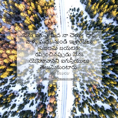 Picture 07 - నిర్గమకాండం 7:5 TELIRV - నేను ఐగుప్తు మీద - Bible Verse Picture