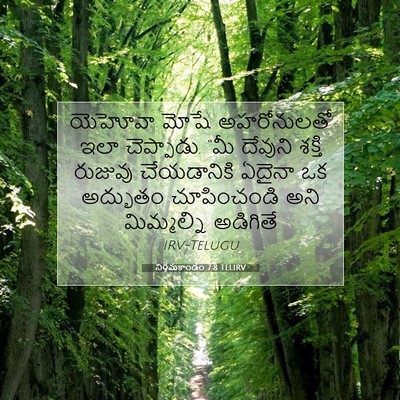 Picture 07 - నిర్గమకాండం 7:8 TELIRV - యెహోవా మోషే - Bible Verse Picture