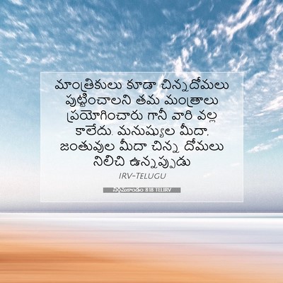 Picture 07 - నిర్గమకాండం 8:18 TELIRV - మాంత్రికులు కూడా - Bible Verse Picture