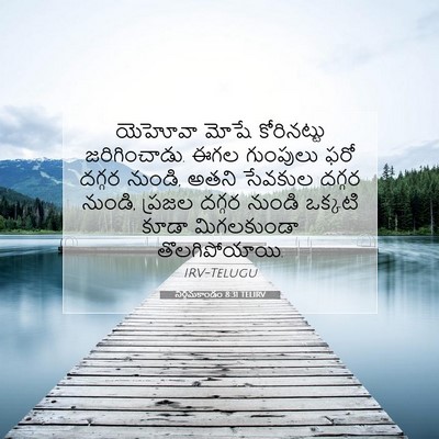 Picture 07 - నిర్గమకాండం 8:31 TELIRV - యెహోవా మోషే - Bible Verse Picture