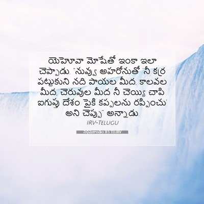 Picture 07 - నిర్గమకాండం 8:5 TELIRV - యెహోవా మోషేతో - Bible Verse Picture