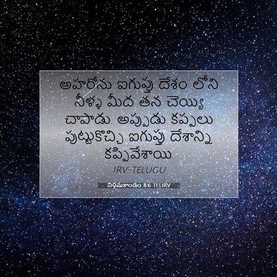 Picture 07 - నిర్గమకాండం 8:6 TELIRV - అహరోను ఐగుప్తు - Bible Verse Picture