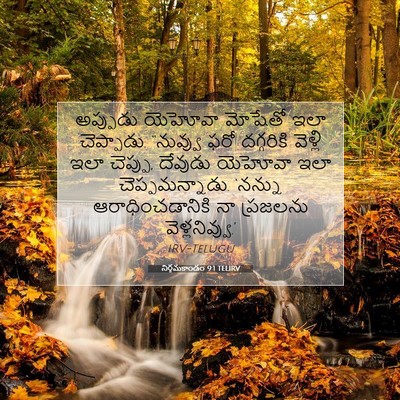 Picture 07 - నిర్గమకాండం 9:1 TELIRV - అప్పుడు యెహోవా - Bible Verse Picture