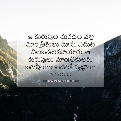Picture 07 - నిర్గమకాండం 9:11 TELIRV - ఆ కురుపుల దురదల - Bible Verse Picture