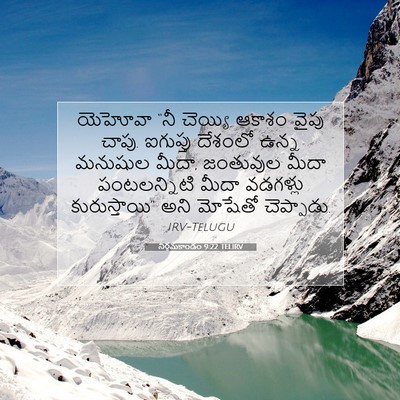 Picture 07 - నిర్గమకాండం 9:22 TELIRV - యెహోవా “నీ చెయ్యి - Bible Verse Picture