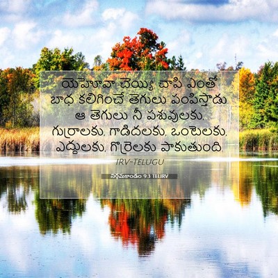 Picture 07 - నిర్గమకాండం 9:3 TELIRV - యెహోవా చెయ్యి - Bible Verse Picture